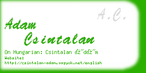 adam csintalan business card